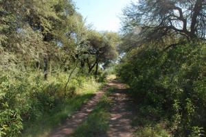 Reserva Natural San Martín: un patrimonio en peligro