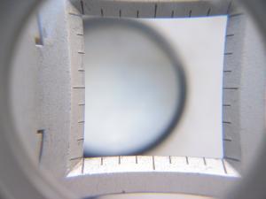 AIP y Rendición de Cuentas. Requisitos para mejorar las instituciones y viabilizar la participación