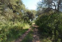 Reserva Natural San Martín: un patrimonio en peligro